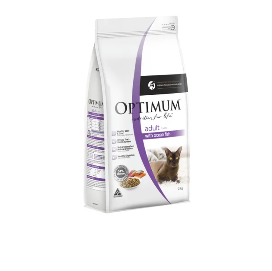 Optimum cat adult ocean fish